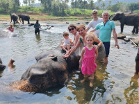 /album/fotogaleria-sri-lanka-vy-a-my/sri-lanka-maldivy-zajazd-114-jpg3/